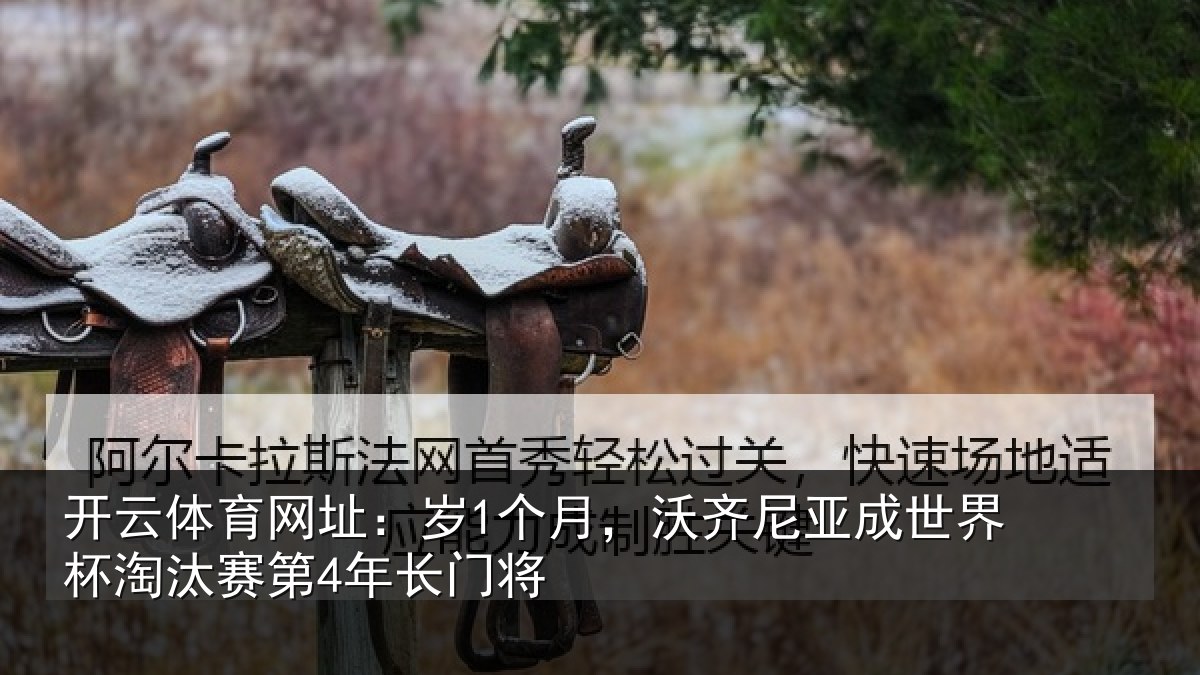 开云体育网址：岁个相关情况杯淘汰赛第4年长门将