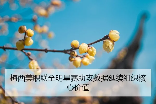 mei-xi-mei-zhi-lian-quan-ming-xing-sai-zhu-gong-shu-ju-yan-xu-zu-zhi-he-xin-jia-zhi-2-554.jpg